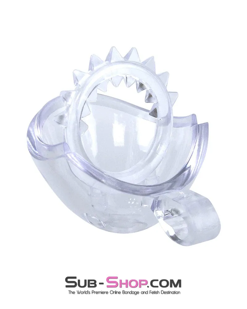 0740M      Small Egg Cock and Balls Chastity Cage with Spiked Anti Pull Off Ball Torture Ring