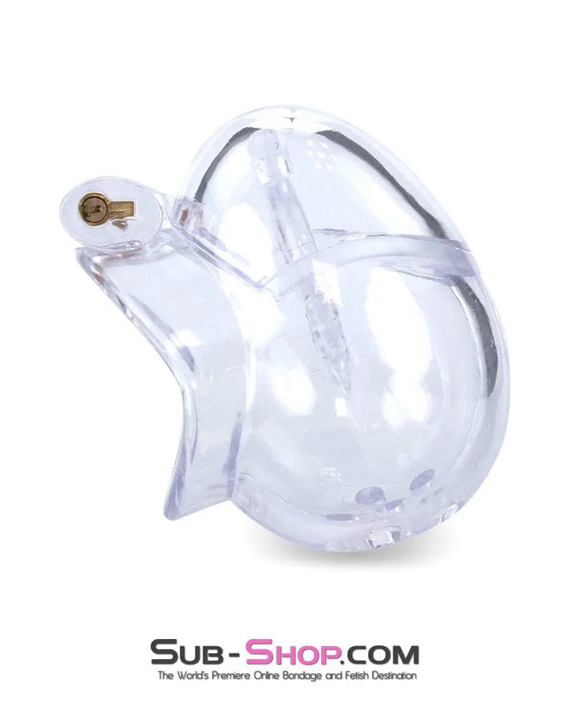 0740M      Small Egg Cock and Balls Chastity Cage with Spiked Anti Pull Off Ball Torture Ring