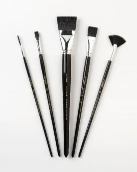 5pc FolkArt One Stroke Pure Artist Pigment Brush Set