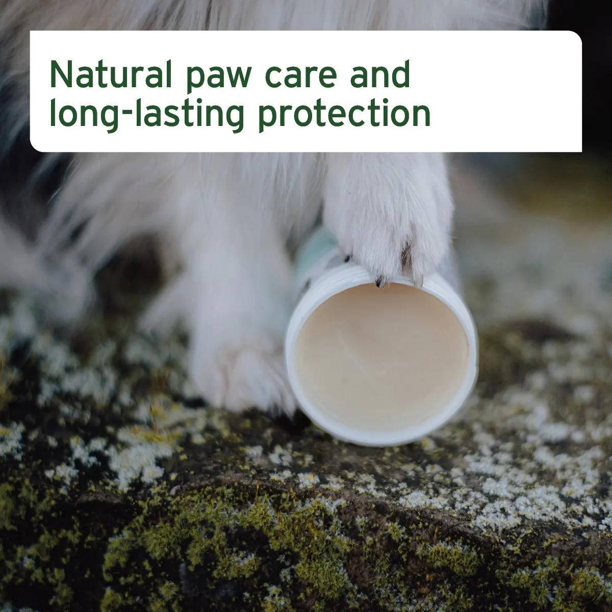 Paw Protection Balm 120ml - Nourishing Cream for Dogs & Cats