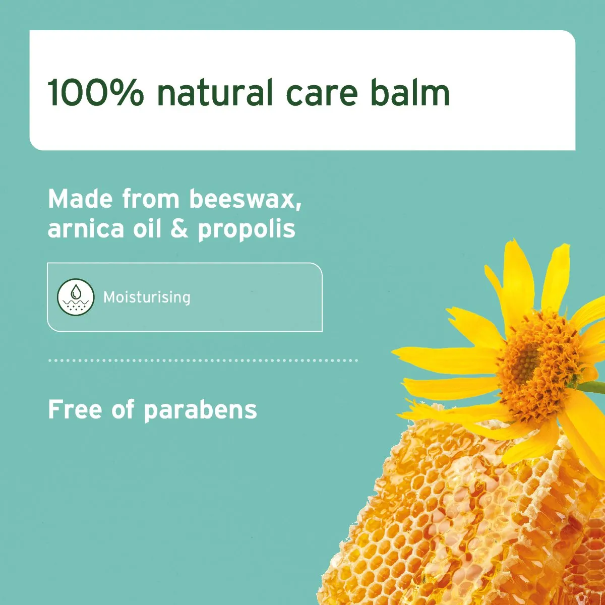 Paw Protection Balm 120ml - Nourishing Cream for Dogs & Cats